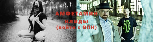дмт Болотное