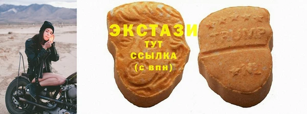 дмт Болотное