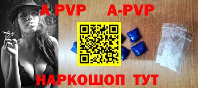 круглые Кингисепп