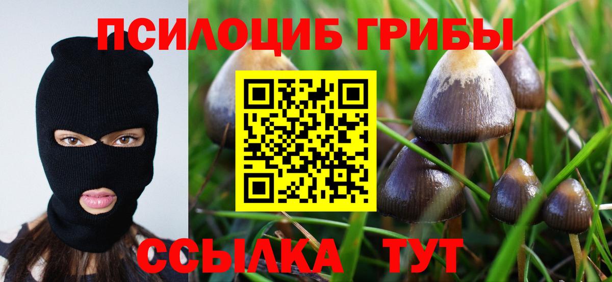 Лиски  Галлюциногенные грибы MAGIC MUSHROOMS  Вход с VPN 