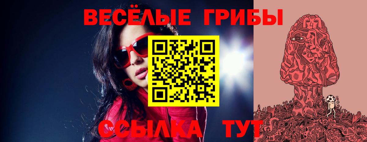 Псилоцибиновые грибы Psilocybine cubensis Лиски